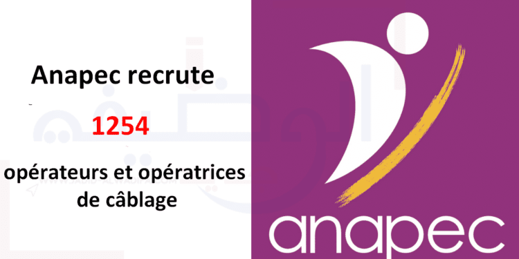 Anapec recrute 1254 opérateurs et opératrices de câblage